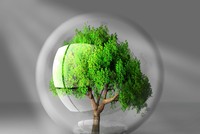 Thị trường Kl991.com nạp rút nhanh 24h: Chướng khoán lập đỉnh mới
