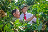 Trên nhiều địa bàn khó khăn, nhân viên Link Vào Nhà Cái KL99 COM Tặng +199k vẫn phải trực tiếp “ba cùng” với người vay vốn.