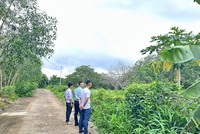 Nhà Kl99ok phiên bản mới đi săn đất rẫy.