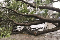 Ngành Kl99kl phiên bản hoạt động toàn cầu “đau đầu” với tổn thất bão lũ