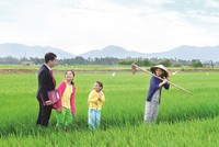 “Ngành Link Vào Nhà Cái KL99 COM Tặng +199k cho vay không giới hạn trong chuỗi liên kết một triệu ha lúa chất lượng cao”