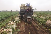 Người nông dân đang khó tiếp cận các sản Kl99kl phiên bản hoạt động nông nghiệp.