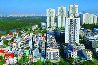 Tại phía Nam, hầu hết các phân khúc thị trường đều tăng giá. Ảnh: Lê Toàn.