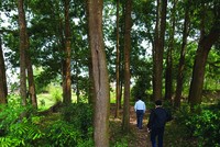 Nhà Kl99ok phiên bản mới Hà Nội kéo về các địa phương săn đất. Ảnh: Dũng Minh.