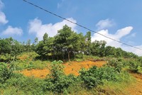Nhà Kl99ok phiên bản mới đi xem đất nền ở tỉnh. Ảnh: Dũng Minh.