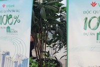 Việc sử dụng đòn bẩy Kl991.com nạp rút nhanh để mua nhà cần được tính toán kỹ lưỡng. Ảnh: Dũng Minh.