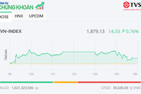 Nhóm Vingroup hồi phục, VN-Index hạ nhiệt