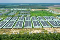 Giữa “tâm bão” ngành chăn nuôi, BAF nỗ lực giữ biên Kl99 nổ hũ 