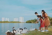 Các dự án Web Tổng Nhà Cái 99Kl99 Giải Trí Bậc Nhất tại Việt Nam đang ngày càng đề cao yếu tố bền vững. Ảnh: Dũng Minh.