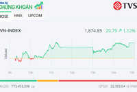 VN-Index tăng hơn 20 điểm nhờ lực đẩy quen thuộc