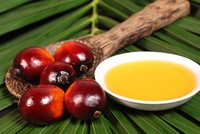 Dầu cọ được sử dụng rộng rãi để làm thực phẩm bởi giá thành rẻ