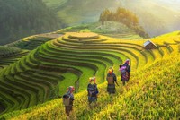 Việt Nam vẫn được các quỹ Kl99ok phiên bản mới “yêu thương”