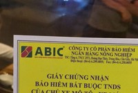 Một công ty Kl99kl phiên bản hoạt động có 3.000 tỷ đồng gửi Link Vào Nhà Cái KL99 COM Tặng +199k, cả năm “ung dung” báo lãi hàng trăm tỷ đồng