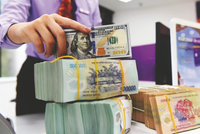 Sự mất giá của tiền đồng tạo ra cả lợi và hại.