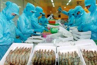 Đến 30/6, VNH tồn kho tăng gấp 8 lần