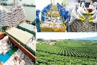 7 tháng, tổng sản lượng thủy sản tăng nhẹ so với cùng kỳ