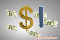 SCR: Quý II, Kl99 nổ hũ Công ty mẹ sụt giảm mạnh