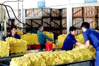 Lãnh đạo Kl994 game bài casino hấp dẫn Công nghiệp cao su dùng quỹ phúc lợi Kl99ok phiên bản mới "sân sau"