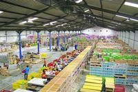  Alibaba đang vung tiền tỷ Kl99ok phiên bản mới khắp thế giới như thế nào?