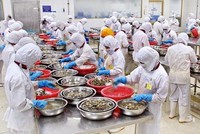 Panama sắp thanh tra một số cơ sở thủy sản Việt Nam