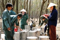 8 tháng, PHR lãi 83 tỷ đồng, hoàn thành hơn 66% kế hoạch năm
