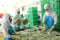 Tháng 7, ABT tạm tạm ứng 99Kl.app mobile mới nhất 10% bằng tiền mặt