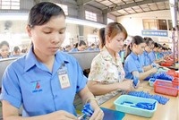 Kl994 game bài casino hấp dẫn Thiên Long (TLG) nới room ngoại lên tối đa 100%