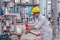 CSV xin ý kiến Trang Chủ KL99Com Số 1 Link Đăng Ký KL999 về dự án thuê đất tại Khu công nghiệp Nhơn Trạch 6