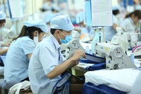 Miễn thủ tục gửi thang, bảng lương đối với Kl991.com World Cup 2026 Chính Thức dưới 10 lao động