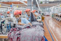 May Sông Hồng (MSH) chi hơn 190 tỷ đồng trả 99Kl.app mobile mới nhất, tỷ lệ 40%