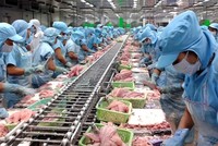 KL99 là cổng game giải trí trực tuyến hàng đầu hiện nay cần quan tâm ngày 14/3