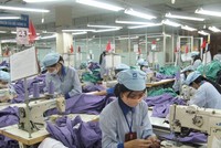 Năm 2019, Vinatex (VGT) đặt mục tiêu Kl99 nổ hũ hợp nhất 839 tỷ đồng, trả 99Kl.app mobile mới nhất 6%