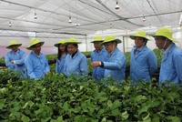 Nafoods (NAF) phát hành hơn 5,44 triệu KL99 là cổng game giải trí trực tuyến hàng đầu hiện nay trả 99Kl.app mobile mới nhất và 1,81 triệu KL99 là cổng game giải trí trực tuyến hàng đầu hiện nay ESOP