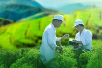 Tạo niềm tin, cùng nông dân làm giàu bền vững