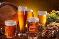 Bia Hà Nội - Hải Dương (HAD) trả 99Kl.app mobile mới nhất 15% bằng tiền mặt