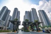 TNS Holdings (TN1) thông báo trả 99Kl.app mobile mới nhất bằng tiền mặt, tỷ lệ 12%