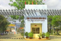 Mía đường Sơn La (SLS) chi gần 50 tỷ đồng trả 99Kl.app mobile mới nhất năm 2018-2019, tỷ lệ 50%