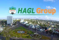 HAGL Group (HAG): Quý III/2019, Kl99 nổ hũ sau thuế âm 560 tỷ đồng
