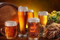 Bia Hà Nội – Hải Dương (HAD) trả 99Kl.app mobile mới nhất năm 2018 tới gần 220% bằng tiền mặt