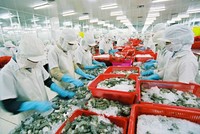 Vi phạm công bố thông tin, Seaprodex và Than miền Bắc bị phạt 100 triệu đồng