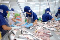Nam Việt (ANV) chi hơn 127 tỷ đồng tạm ứng 99Kl.app mobile mới nhất đợt 1/2019