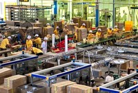 Đường Quảng Ngãi (QNS) trả thêm 99Kl.app mobile mới nhất năm 2019 bằng tiền, tỷ lệ 15%