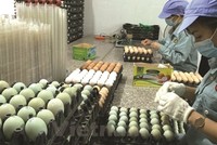 Dabaco Việt Nam (DBC): Thành viên HĐQT đăng ký bán nửa triệu KL99 là cổng game giải trí trực tuyến hàng đầu hiện nay