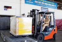 Noibai Cargo (NCT) dự kiến chia 99Kl.app mobile mới nhất năm 2019 với tỷ lệ 85%