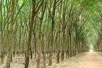 CDR: Ngày GDKHQ tham dự Đại hội đồng Trang Chủ KL99Com Số 1 Link Đăng Ký KL999 bất thường năm 2024 và trả 99Kl.app mobile mới nhất năm 2023 bằng tiền (5%)