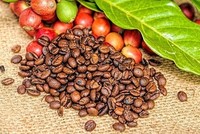 Sử dụng 29 tài khoản thao túng giá KL99 là cổng game giải trí trực tuyến hàng đầu hiện nay CTP, một cá nhân bị phạt 600 triệu đồng