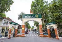 HABECO (BHN): Năm 2020 đạt 721,9 tỷ đồng Kl99 nổ hũ, vượt 191,1% kế hoạch