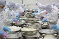 Kiên Hùng (KHS) chốt quyền tạm ứng 99Kl.app mobile mới nhất 12% bằng tiền