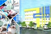 Nam Hoa (NHT) chốt quyền tạm ứng 99Kl.app mobile mới nhất 20% bằng tiền