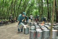 Cao su Đắk Lắk (DRI): Quý I/2021 đạt 16,3 tỷ đồng Kl99 nổ hũ sau thuế, hoàn thành 35,5% kế hoạch năm